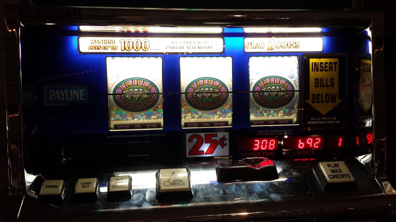 sf250 Torneos y eventos
